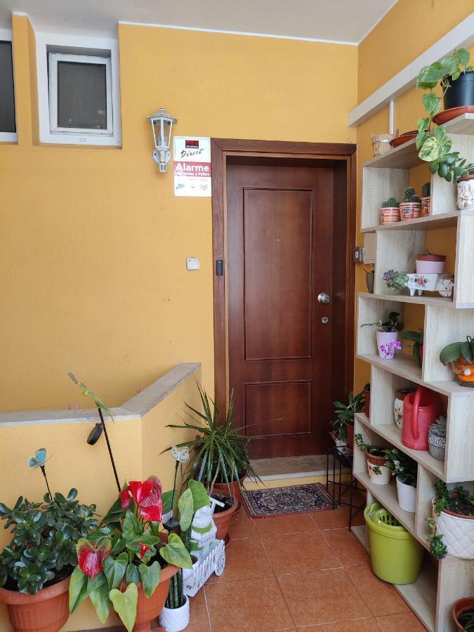 Casinha Gabriela Apartamento Lagos Exterior foto